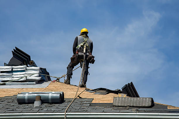 Professional Gutter Installation technician working in Brent, FL